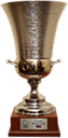CEV Challenge Kupası kupası